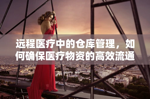 远程医疗中的仓库管理，如何确保医疗物资的高效流通？