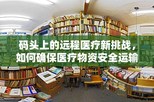 码头上的远程医疗新挑战，如何确保医疗物资安全运输？