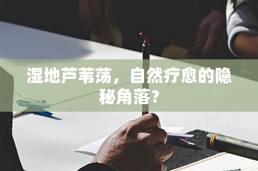 湿地芦苇荡，自然疗愈的隐秘角落？
