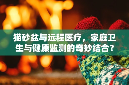 猫砂盆与远程医疗，家庭卫生与健康监测的奇妙结合？