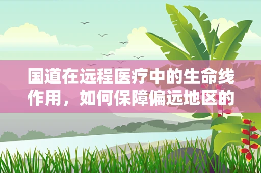 国道在远程医疗中的生命线作用，如何保障偏远地区的医疗信息畅通？