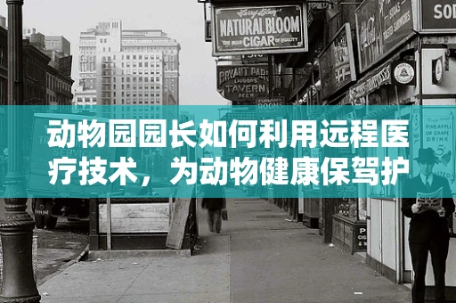 动物园园长如何利用远程医疗技术，为动物健康保驾护航？
