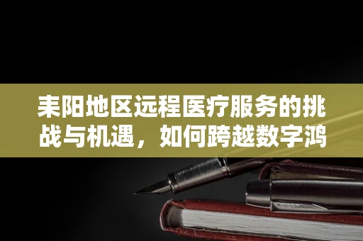 耒阳地区远程医疗服务的挑战与机遇，如何跨越数字鸿沟？