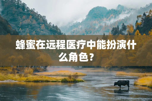 蜂蜜在远程医疗中能扮演什么角色？