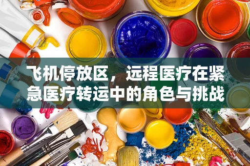 飞机停放区，远程医疗在紧急医疗转运中的角色与挑战