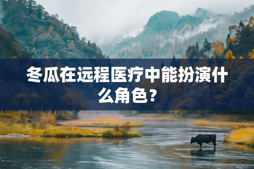 冬瓜在远程医疗中能扮演什么角色？