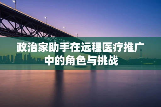 政治家助手在远程医疗推广中的角色与挑战