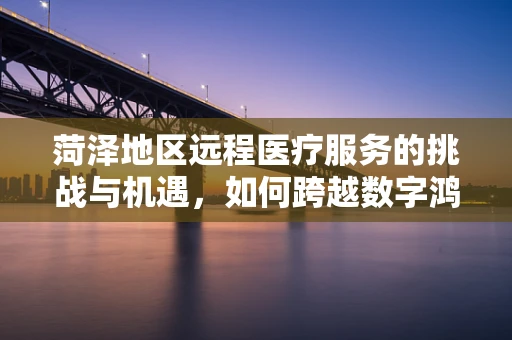菏泽地区远程医疗服务的挑战与机遇，如何跨越数字鸿沟？