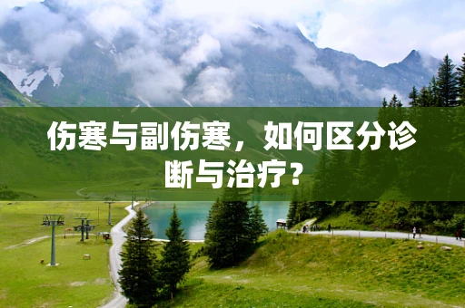伤寒与副伤寒，如何区分诊断与治疗？