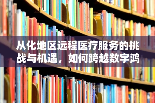 从化地区远程医疗服务的挑战与机遇，如何跨越数字鸿沟？