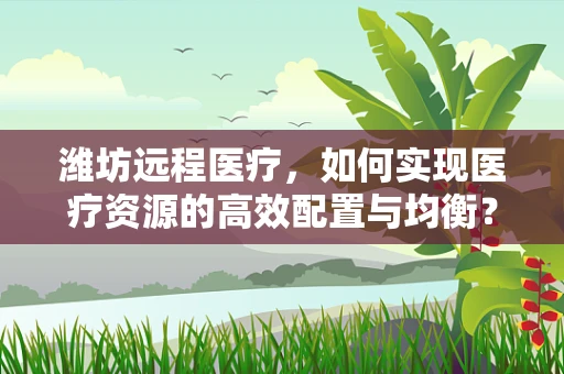 潍坊远程医疗，如何实现医疗资源的高效配置与均衡？