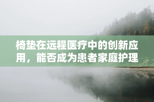 椅垫在远程医疗中的创新应用，能否成为患者家庭护理的新宠？