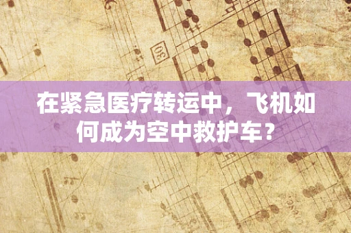 在紧急医疗转运中，飞机如何成为空中救护车？