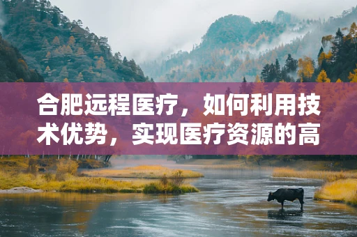 合肥远程医疗，如何利用技术优势，实现医疗资源的高效配置？