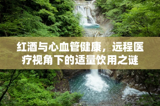 红酒与心血管健康，远程医疗视角下的适量饮用之谜