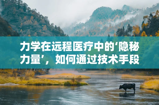 力学在远程医疗中的‘隐秘力量’，如何通过技术手段优化患者体验？