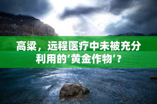 高粱，远程医疗中未被充分利用的‘黄金作物’？