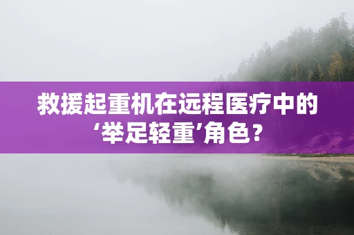 救援起重机在远程医疗中的‘举足轻重’角色？