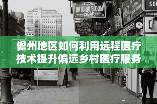 儋州地区如何利用远程医疗技术提升偏远乡村医疗服务质量？