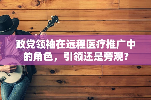 政党领袖在远程医疗推广中的角色，引领还是旁观？