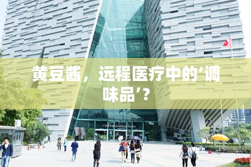 黄豆酱，远程医疗中的‘调味品’？