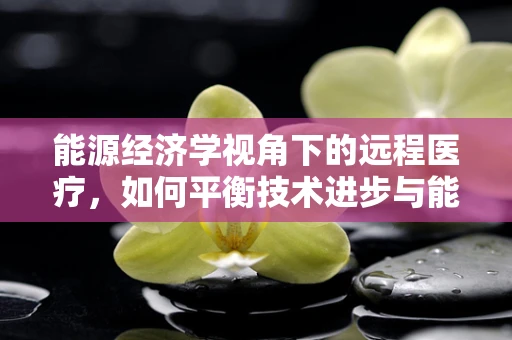 能源经济学视角下的远程医疗，如何平衡技术进步与能源消耗？