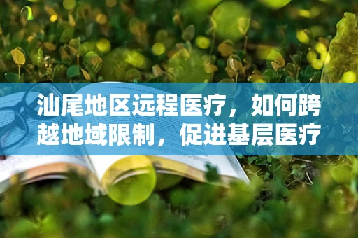 汕尾地区远程医疗，如何跨越地域限制，促进基层医疗资源均衡？