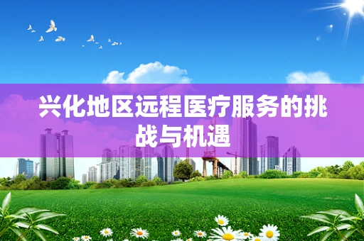 兴化地区远程医疗服务的挑战与机遇