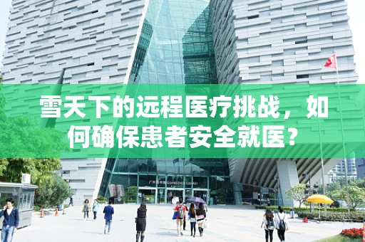 雪天下的远程医疗挑战，如何确保患者安全就医？