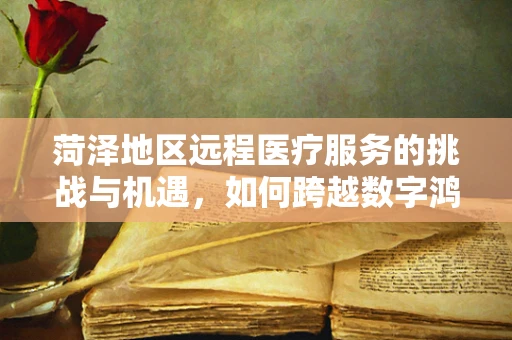 菏泽地区远程医疗服务的挑战与机遇，如何跨越数字鸿沟？