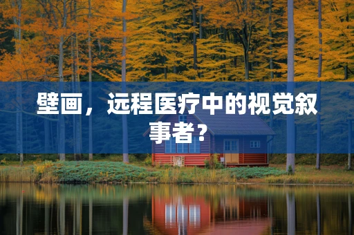 壁画，远程医疗中的视觉叙事者？