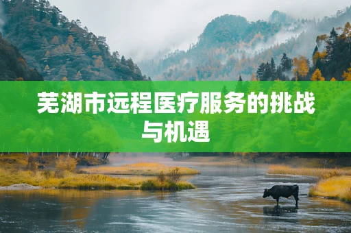 芜湖市远程医疗服务的挑战与机遇