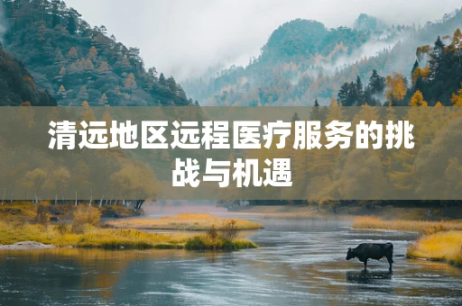 清远地区远程医疗服务的挑战与机遇