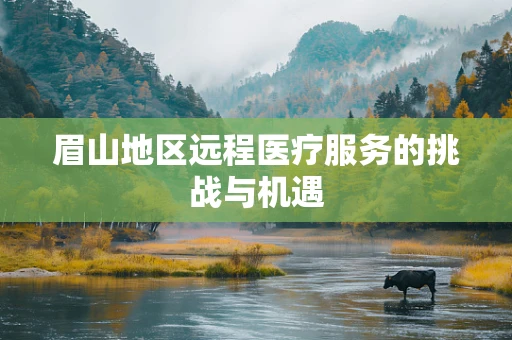 眉山地区远程医疗服务的挑战与机遇
