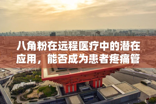 八角粉在远程医疗中的潜在应用，能否成为患者疼痛管理的‘新调料’？