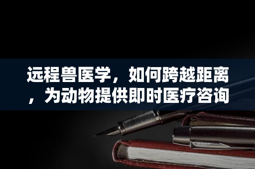 远程兽医学，如何跨越距离，为动物提供即时医疗咨询？