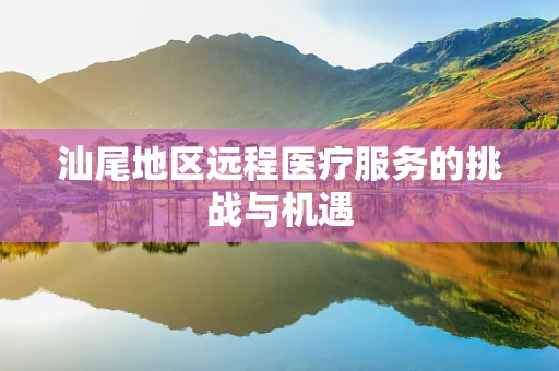 汕尾地区远程医疗服务的挑战与机遇