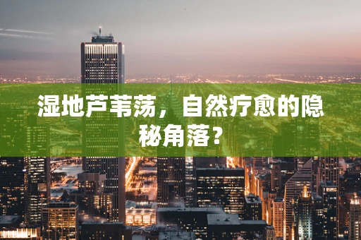 湿地芦苇荡，自然疗愈的隐秘角落？
