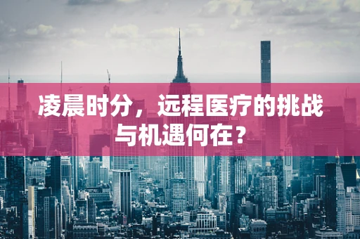 凌晨时分，远程医疗的挑战与机遇何在？