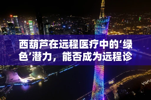 西葫芦在远程医疗中的‘绿色’潜力，能否成为远程诊疗的‘健康’新宠？