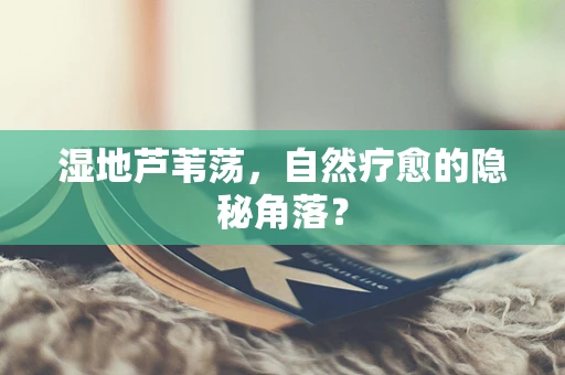 湿地芦苇荡，自然疗愈的隐秘角落？