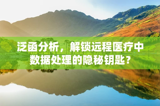 泛函分析，解锁远程医疗中数据处理的隐秘钥匙？