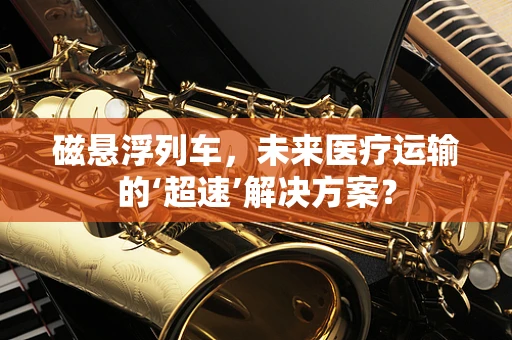 磁悬浮列车，未来医疗运输的‘超速’解决方案？