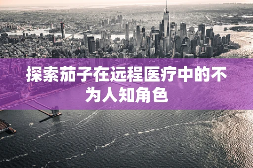 探索茄子在远程医疗中的不为人知角色