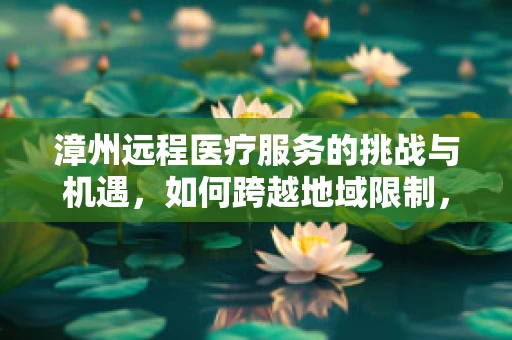 漳州远程医疗服务的挑战与机遇，如何跨越地域限制，实现医疗资源均衡？
