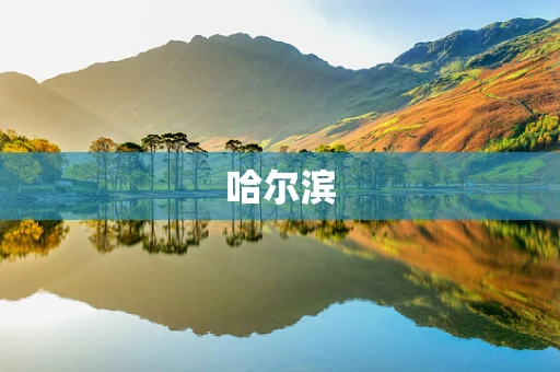 哈尔滨