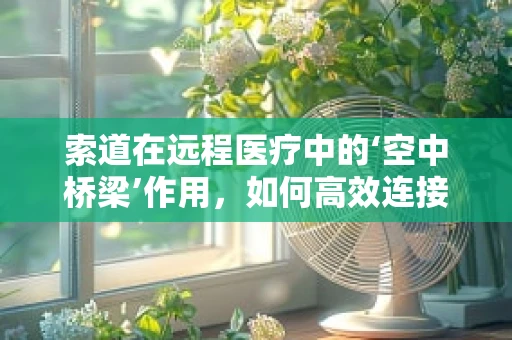 索道在远程医疗中的‘空中桥梁’作用，如何高效连接偏远地区与医疗资源？