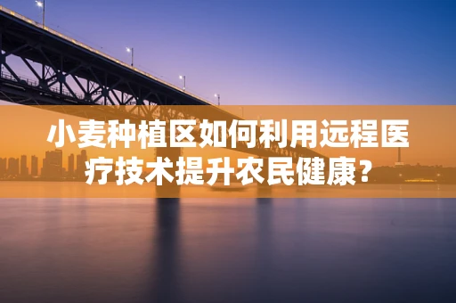 小麦种植区如何利用远程医疗技术提升农民健康？