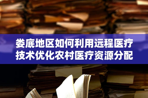 娄底地区如何利用远程医疗技术优化农村医疗资源分配？
