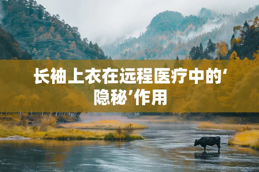 长袖上衣在远程医疗中的‘隐秘’作用